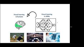 Generalization in perceptual learning  From humans to artificial neural networks and back [upl. by Haines]