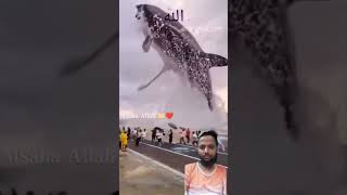 Allah ki qudrat ka Karishma motivation islamicvideo shorts youtubeshorts shortsfeed islamic [upl. by Ornie40]