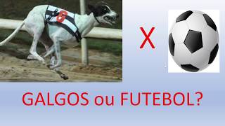 Galgos ou futebol Eis a questão [upl. by Eznyl908]