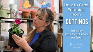 Grow Petunias from Cuttings quick and easy [upl. by Aihsekel]