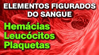 Hemácias  Leucócitos  Plaquetas Os elementos figurados do sangue [upl. by Ilwain304]