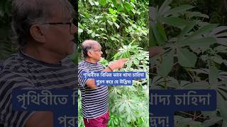 পৃথিবীতে বিভিন্ন ভাবে খাদ্য চাহিদা পুরন করে যে উদ্ভিদ [upl. by Zulema]