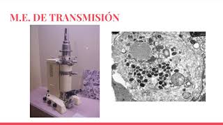 MICROSCOPIO ELECTRÓNICO DE TRANSMISIÓN [upl. by Joacima]