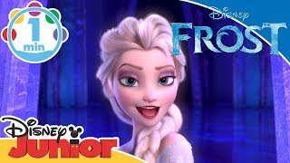 Frost  Musikk La den gå 🎶  Disney Junior Norge [upl. by Laehplar]