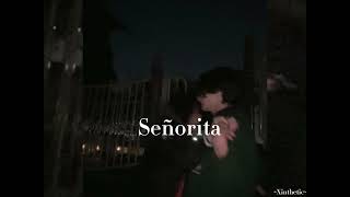 Señorita  slowed  reverb  by Shawn Mendez and Camilla Cabello [upl. by Faruq]