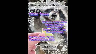 Racoon Therian Tips antizoo therian racoons savethebananabread bananabread [upl. by Aneetsirhc]