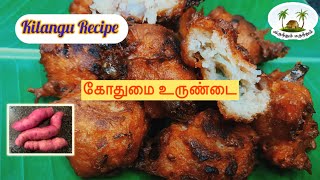 Sakkarai valli Kilangu Recipe in Tamil  Wheat balls  சர்க்கரைவள்ளி கோதுமை உருண்டை  Sweet potato [upl. by Baelbeer]