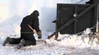 Self Feeding Silage Bag Demonstration [upl. by Sabrina]