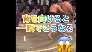 あ～れ～…お相撲さんに背を向けるとこうなる 相撲 sumo [upl. by Andriana]