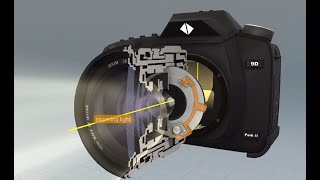 How Does Digital Camera Works   3D Animation [upl. by Arissa]