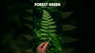 Forest Green Lightroom Preset  Free Preset Lightroom Mobile  Nature Presets  Dark Green Preset [upl. by Okoyik647]