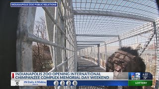 Indianapolis Zoo to unveil giant chimpanzee complex [upl. by Vergos558]