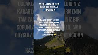 Yay Oğlak Kova Balık İçin Günlük Burç Yorumları 🌌 Kaçırmayın astroloji burçlar keşfet tarot [upl. by Ikram]