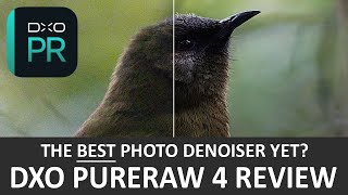 DxO PureRaw 4 Review  Just Hype [upl. by Noonan]