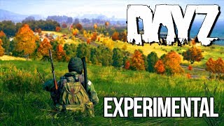 DAYZ Experimental  Cada vez mais perto do BETA [upl. by Dodge]