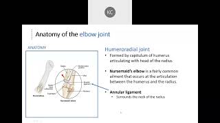 Articulations  Humeroulnar amp Humeroradial Joints  Part 7 [upl. by Guidotti]