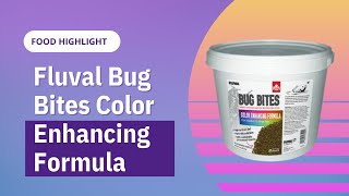 Fluval Bug Bites Review  Color Enhancing Food [upl. by Siesser]