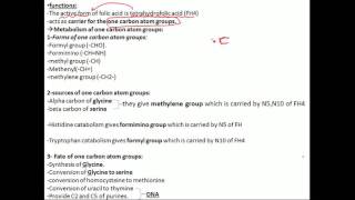 biochemistry folic acid part 1 فيتامين بايوكيميستري [upl. by Ellata]