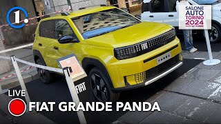 Fiat Grande Panda dal vivo COSA PENSANO LE PERSONE [upl. by Roon]