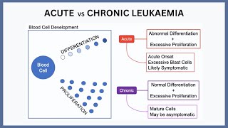 Acute vs Chronic Leukaemia Explained [upl. by Lorre65]