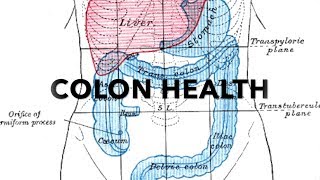 HEAL THE COLON STEP BY STEP 33  httpsdrstephenstokescom [upl. by Castora]