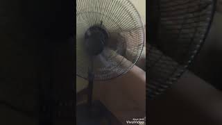 Fans At My Rental House In Baguio City [upl. by Anawd]