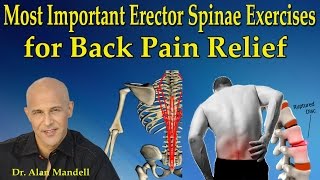 Most Important Erector Spinae Exercises for Back Pain Relief  Dr Mandell [upl. by Oniram362]