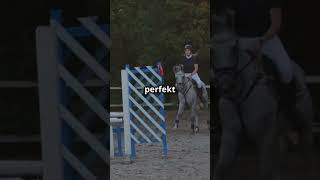 Springreiten Fails die dich umhauen 🐴💥pferd pferde pferdevideos lustigevideos shortsvideo [upl. by Evets]