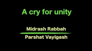 A cry for unity MidrashRabbah [upl. by Lohman]