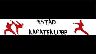 Ystad KarateKlubb Live Stream [upl. by Izmar]