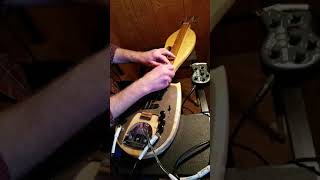 Lying Eyes by The Eagles played on Cedar Creek Electric Dulcimer [upl. by Arabella442]