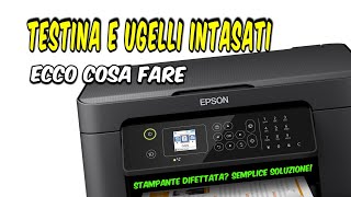 STAMPANTE EPSON pulizia TESTINA e UGELLI bloccati ecco come fare Semplice ed efficace [upl. by Tereb]