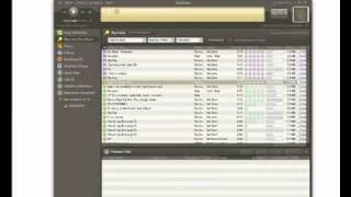 Program P2P Bearshare Tutorial [upl. by Cher]