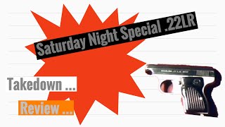 Sterling Arms 22LR quotSaturday Night Specialquot Review and Takedown [upl. by Vitale]