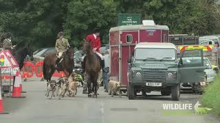 Quantock Staghounds at Anchor Inn  Quiet Day Due to Police Presence [upl. by Arri]