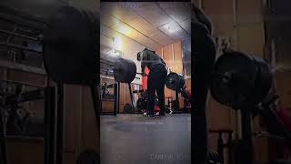 No1 back exercise👏 ytshorts motivation respect tobiasbelka [upl. by Sara-Ann]