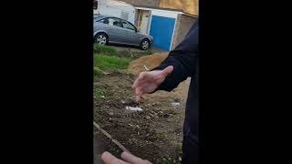 Bailiffs getting battered and owned in the uk compilation 1080p [upl. by Fancy]