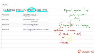 In adventive embryony embryo arises form [upl. by Cadell318]