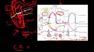 Cardiac Cycle [upl. by Blane]