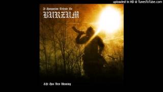 Aetherius Obscuritas  Ea Lord of the Depths Burzum cover [upl. by Essilec]