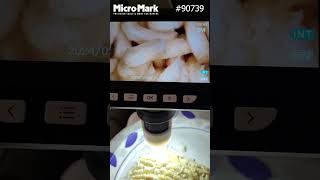 Instant noodles under LCD Digital Microscope 1000X Microscope 1080P shorts instantnoodles bugs [upl. by Arretak]