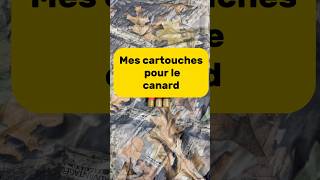 Munitions canards chasse chasseur chasseresse hunters canard duck [upl. by Allveta]