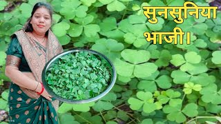 हमर छत्तीसगढ़ के भाजी चुनचुनिया ला बनाए के विधि  cg sunsuniya bhaji recipe  cg vlogger Mamta [upl. by Llednohs]