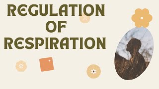 Regulation of Respiration  Respiratory Centers  Chemical control of respiration [upl. by Gass]