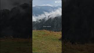 paysages nature vosges sommet summit hohneck montagne therapy foryou shorts keagan [upl. by Hung]