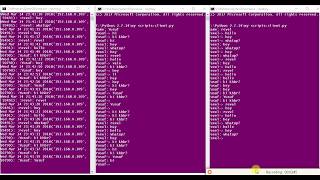 IPC Implementation with Python  Multiprocessing [upl. by Anitnas]