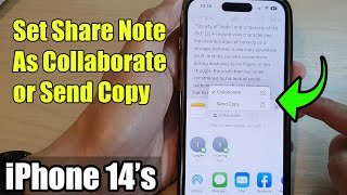 iPhone 1414 Pro Max How to Set Share Note As Collaborate or Send Copy [upl. by Akinas]