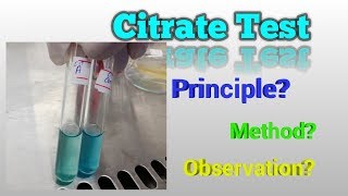 Citrate Test Microbiology [upl. by Rellek252]