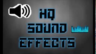 LOADING A PISTOL Sound effect HQ [upl. by Leiria]