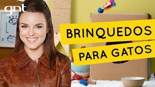 Dicas de brinquedos para gatos fáceis de fazer  Faça Você Mesmo  Thalita Carvalho [upl. by Neeoma469]